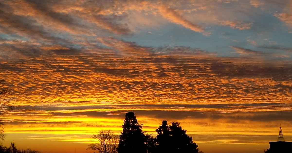 Photo gunger30 / flickr