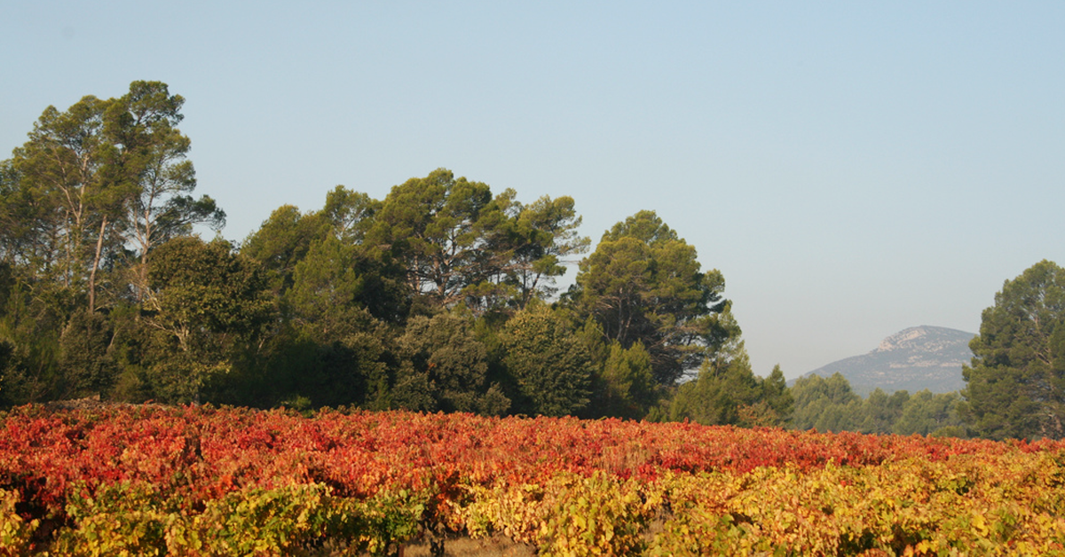 Photo toprural / flickr